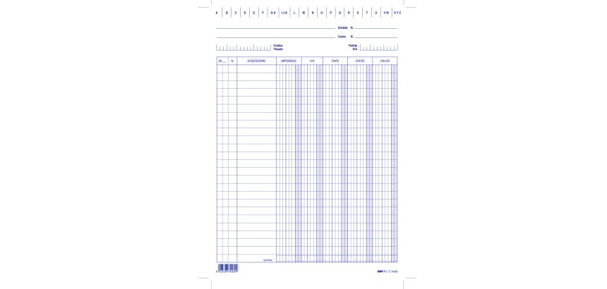 Schede - dare/avere/saldo/iva - 24x17 cm (verticale) - Edipro - conf. 100 pezzi