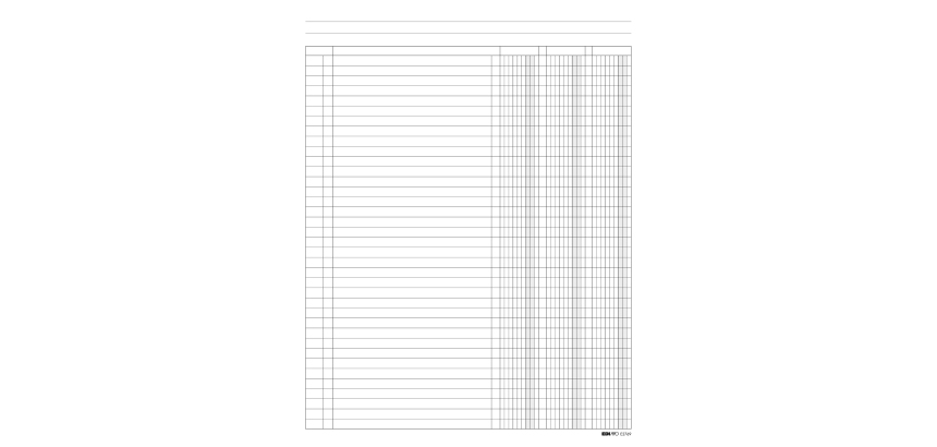 Registro a 3 colonne - 31 x 24cm - 100 fogli - Edipro