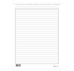 Schede in cartoncino rigate - 24 x 17 cm verticale - Edipro - conf. 100 pezzi