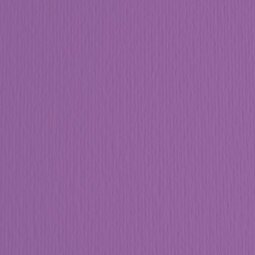 Cartoncino Elle Erre - 70x100cm - 220gr - viola 104 - Fabriano - blister 10 fogli