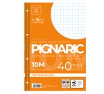 Ricambi forati rinforzati Pignaric - A4 -  10mm - 80gr - Pigna - conf. 40 pezzi