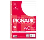 Ricambi forati rinforzati Pignaric - A4 - 1 rigo - 80gr - Pigna - conf. 40 pezzi
