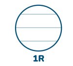 Ricambi forati rinforzati Pignaric - A4 - 1 rigo - 80gr - Pigna - conf. 40 pezzi