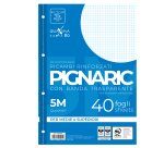 Ricambi forati rinforzati Pignaric - A4 -  5mm - 80gr - Pigna - conf. 40 pezzi