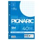 Ricambi forati rinforzati Pignaric - A4 - quadretto 5mm - 40 fogli - 80gr - Pigna