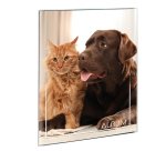 Lebez 2757 photo album Multicolour 20 sheets 13.5 x 19 cm