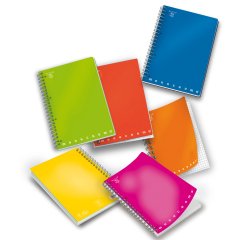 Quaderno Monocromo - A5 - 1 rigo - 70 fogli - 80gr - 4 fori - spiralato - Pigna