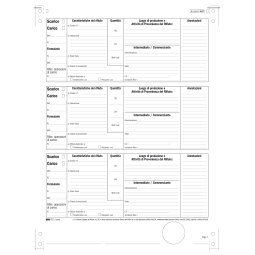 Modulo continuo carico/scarico rifiuti detentori (Mod. A) - 12''x 24 - 250 fogli - Edipro