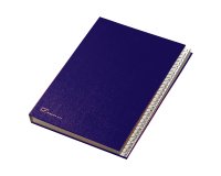 Classificatore numerico 1/31 - 643E - 24x34 cm - blu - Fraschini