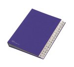 Classificatore numerico 1/31 - 643D - 24x34 cm - blu - Fraschini