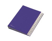 Classificatore numerico 1/31 - 643D - 24x34 cm - blu - Fraschini