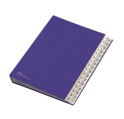 Classificatore numerico 1/31 - 643D - 24x34 cm - blu - Fraschini
