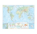 Carta geografica Mondo - scolastica - murale - Belletti