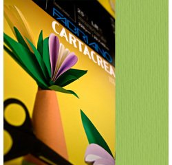 Cartoncino CartaCrea - 35x50cm - 220gr - verde pisello - Fabriano - blister 10 fogli