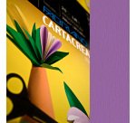 Cartoncino CartaCrea - 35 x 50 cm - 220 gr - viola - Fabriano - blister 10 fogli