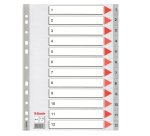 Separatore numerico 1/12 - PP - A4 - 22,5x29,7 cm - grigio - Esselte