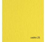Cartoncino Elle Erre - 70 x 100 cm - 220 gr - cedro 125 - Fabriano - blister 10 fogli