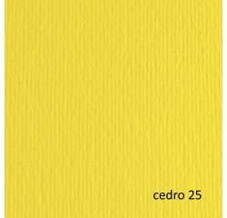 Cartoncino Elle Erre - 70 x 100 cm - 220 gr - cedro 125 - Fabriano - blister 10 fogli
