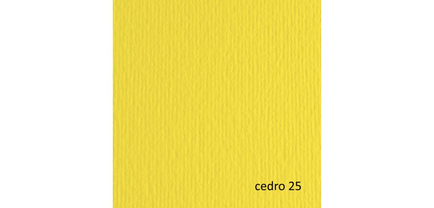 Cartoncino Elle Erre - 70 x 100 cm - 220 gr - cedro 125 - Fabriano - blister 10 fogli