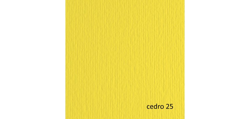 Cartoncino Elle Erre - 70 x 100 cm - 220 gr - cedro 125 - Fabriano - blister 10 fogli