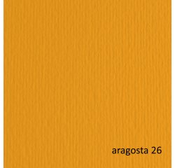 Cartoncino Elle Erre - 70x100cm - 220gr - aragosta 126 - Fabriano - blister 10 fogli