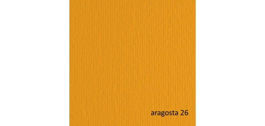 Cartoncino Elle Erre - 70 x 100 cm - 220 gr - aragosta 126 - Fabriano - blister 10 fogli