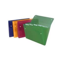 Cartella a soffietto Ice - 6 tasche - 22x30 cm - colori assortiti - Rexel