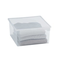 Contenitore multiuso Light Box L - 37,8x39,6x18,5 cm - 23 L - plastica - trasparente - Terry