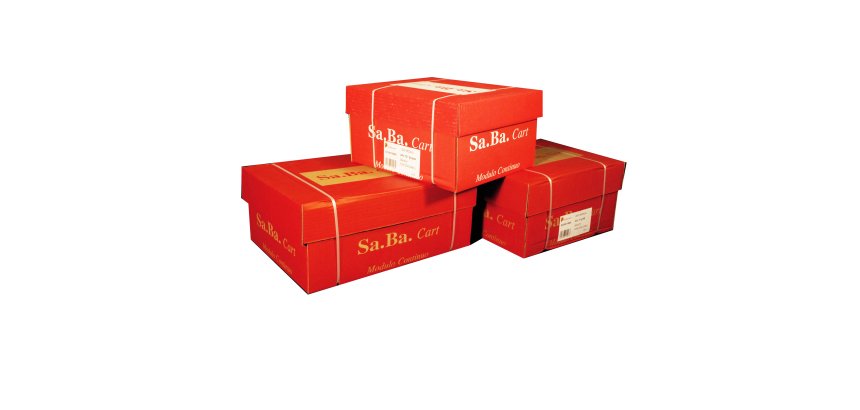 Carta in modulo continuo - 24 x 11 " - 60 gr - piste fisse - lettura facile grigio - Sabacart - conf. 2000 fogli