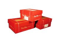 Carta in modulo continuo - 37,5 x 11 " X2 - 53 gr - piste fisse - lettura facile grigio - Sabacart - conf. 1000 fogli