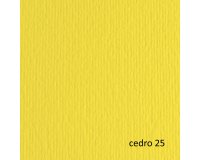 Cartoncino Elle Erre - 50x70cm - 220gr - cedro 25 - Fabriano - blister 20 fogli