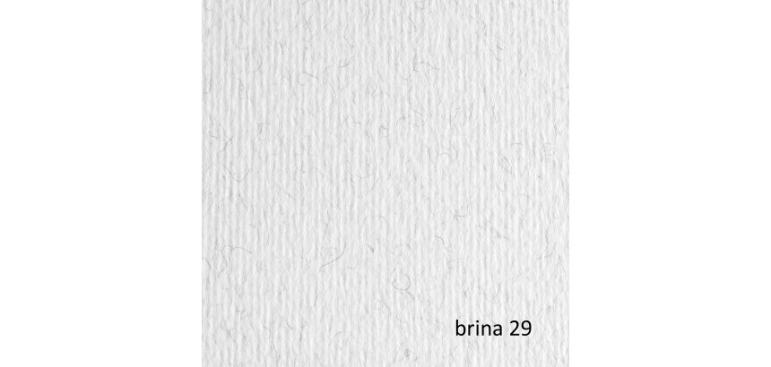 Cartoncino Elle Erre - 50 x 70 cm - 220 gr - brina 29 - Fabriano - blister 20 fogli