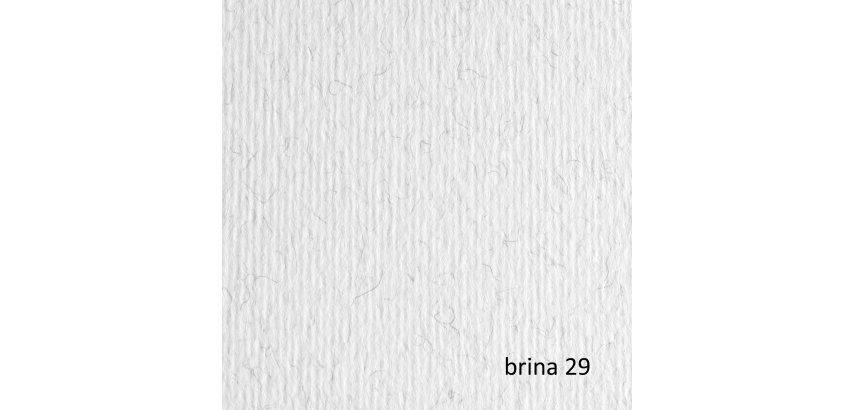 Cartoncino Elle Erre - 70 x 100 cm - 220 gr - brina 129 - Fabriano - blister 10 fogli