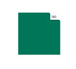 Carta velina - 50 x 70 cm - 20 gr - verde 560 - Rex Sadoch - busta 26 fogli