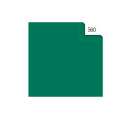 Carta velina - 50 x 70 cm - 20 gr - verde 560 - Rex Sadoch - busta 26 fogli