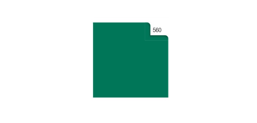 Carta velina - 50 x 70 cm - 20 gr - verde 560 - Rex Sadoch - busta 26 fogli