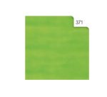 Carta velina - 50 x 70 cm - 20 gr - verde chiaro 371 - Rex Sadoch - busta 26 fogli