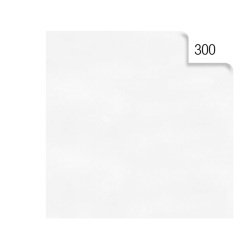 Carta velina - 50 x70cm - 20 gr - bianco 300 - Rex Sadoch - busta 26 pezzi