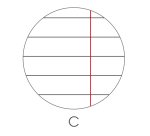 Maxiquaderno Color 80 Basic - A4 - 1 rigo c/margine - 80 fogli - 80gr - BM