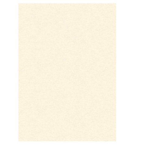 Diplomi in pergamena - stampa offset - A4 - 160 gr - neutro avorio - Kartos - conf. 10 pezzi