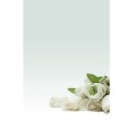 Carta con stampa "rosa bianca" - A4 - 90 gr - Decadry - conf. 20 fogli