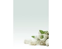 Carta con stampa "rosa bianca" - A4 - 90 gr - Decadry - conf. 20 fogli