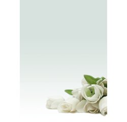 Carta con stampa "rosa bianca" - A4 - 90 gr - Decadry - conf. 20 fogli