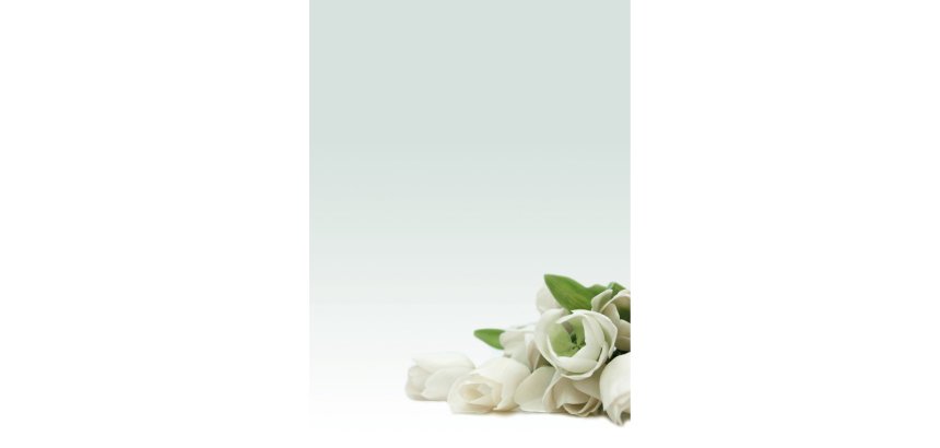 Carta con stampa "rosa bianca" - A4 - 90 gr - Decadry - conf. 20 fogli