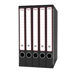 Gruppo registratori Quintetto - con 5 cartelle 3 lembi - 23x32 cm - dorso 23 cm - grigio - Rexel