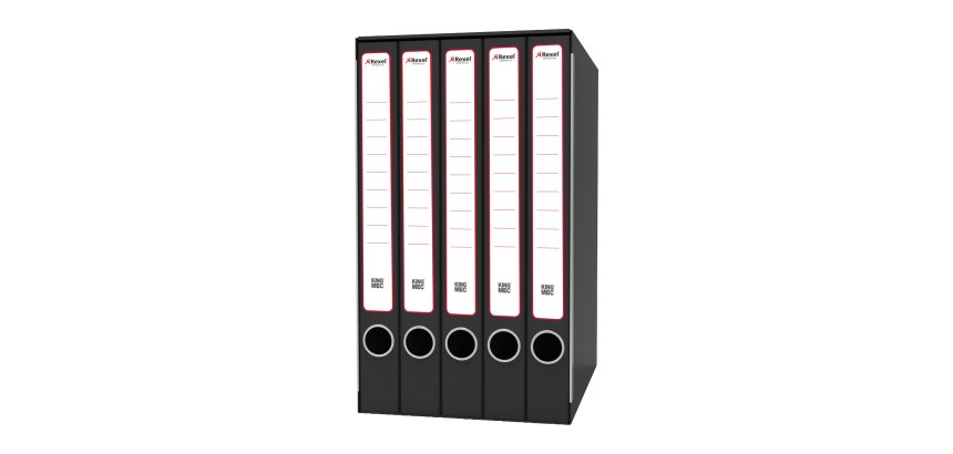 Gruppo registratori Quintetto - 23 x 32 cm - con 5 cartelle 3 lembi - dorso 23 cm - grigio - Rexel