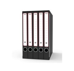 Gruppo registratori Quintetto - con 5 cartelle ad anelli - 23x32 cm - dorso 23 cm - grigio - Rexel