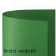 Cartoncino Bristol Color - 70 x 100 cm - 200 gr - verde 60 - Favini - conf. 10 pezzi