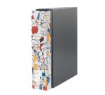 Esselte Dox 2 ring binder A4 Multicolour