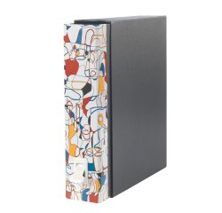 Esselte Dox 2 ring binder A4 Multicolour